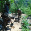 dengue prevention program - Kothmale